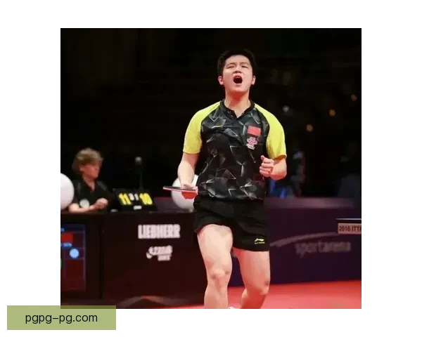乒乓球冠军的辉煌历程与成就盘点