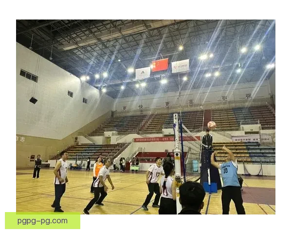 世界排球巅峰之争:激情角逐、荣耀夺目 世界排球巅峰之争:激情角逐、荣耀夺目