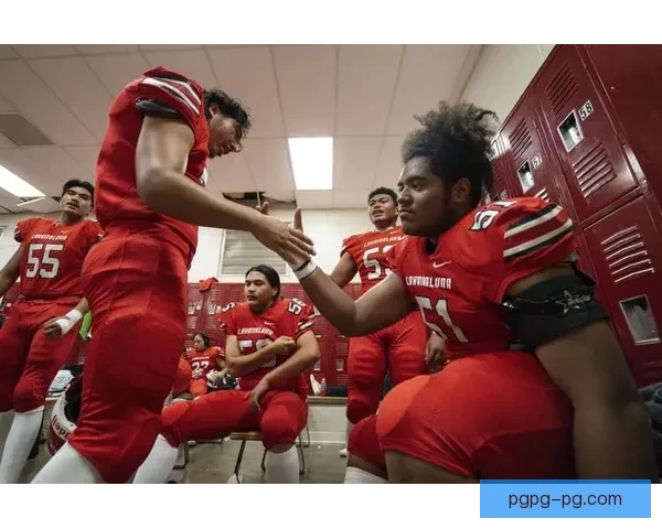 全球橄榄球盛宴：巅峰对决掀起情怀狂潮