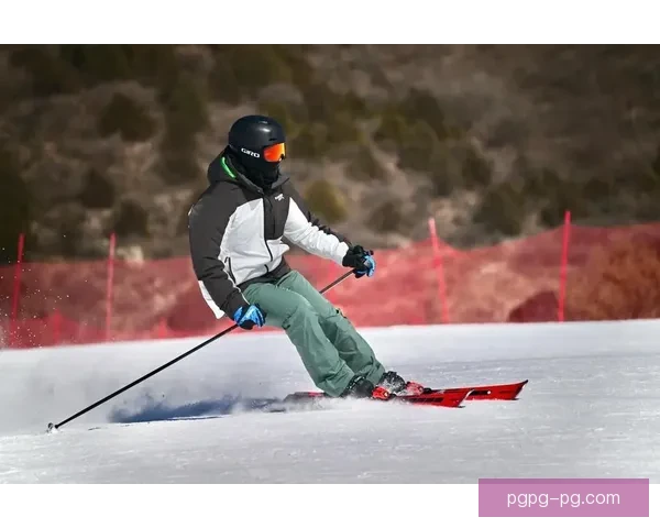 全面解读滑雪规则及技术要点 全面解读滑雪规则及技术要点