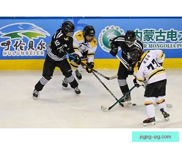 冰球杯赛:冰上激战,激发激情 冰球杯赛:冰上激战,激发激情