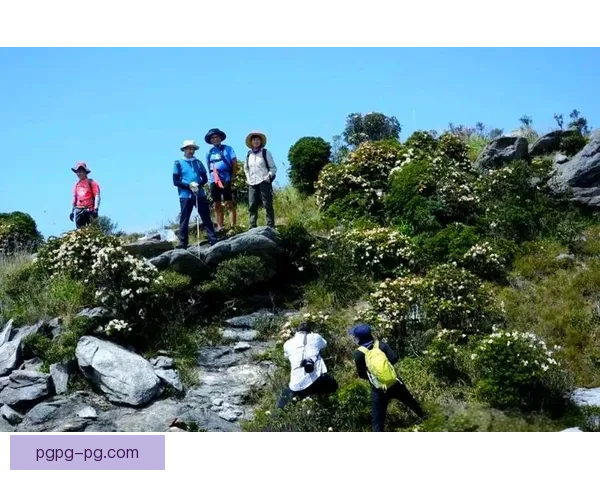 初识登山：一场高山之旅