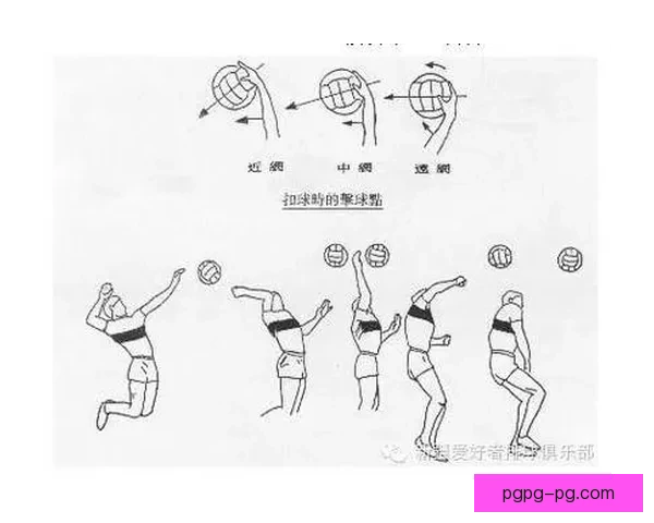 排球投注技巧详解及实战指南 排球投注技巧详解及实战指南