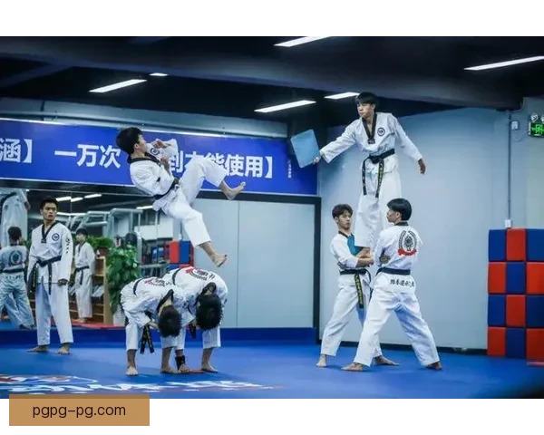 探讨跆拳道排名制度的演变及影响 探讨跆拳道排名制度的演变及影响