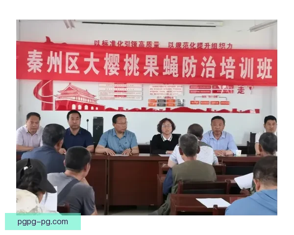 提升帆船技巧的终极指南 提升帆船技巧的终极指南