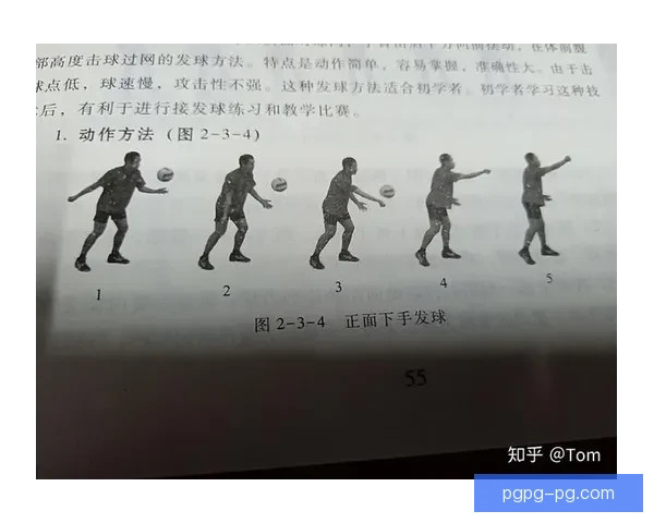 排球入门:掌握基本规则与技巧 排球入门:掌握基本规则与技巧