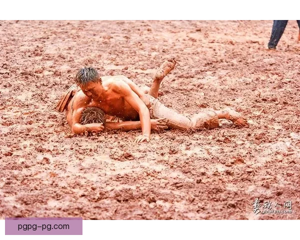 摔跤盛会：擂台争锋，豪情角逐